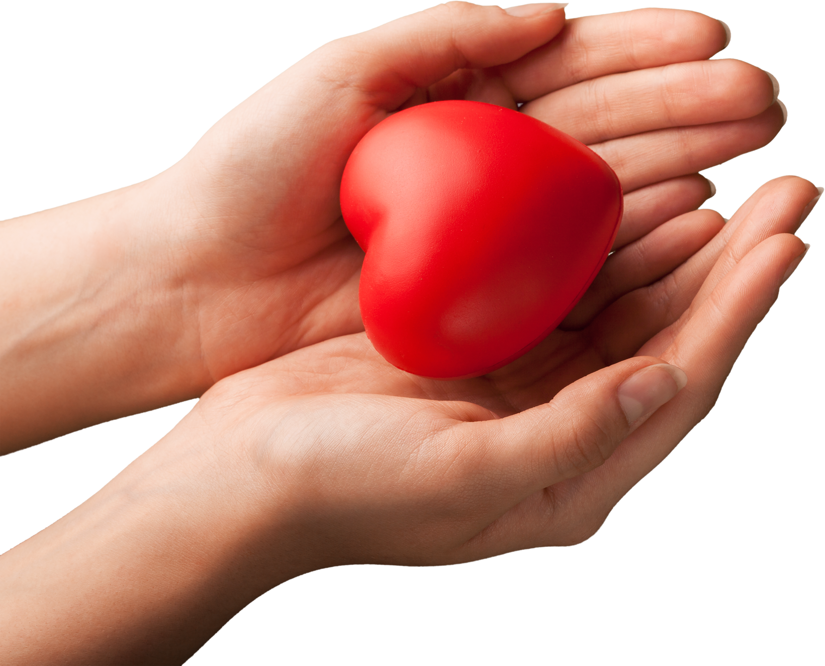 Red Heart in Hands